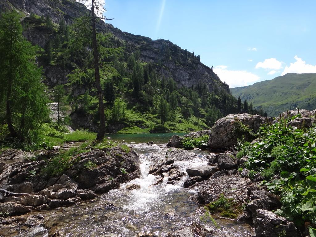 Ausserraingut Flachau Bagian luar foto
