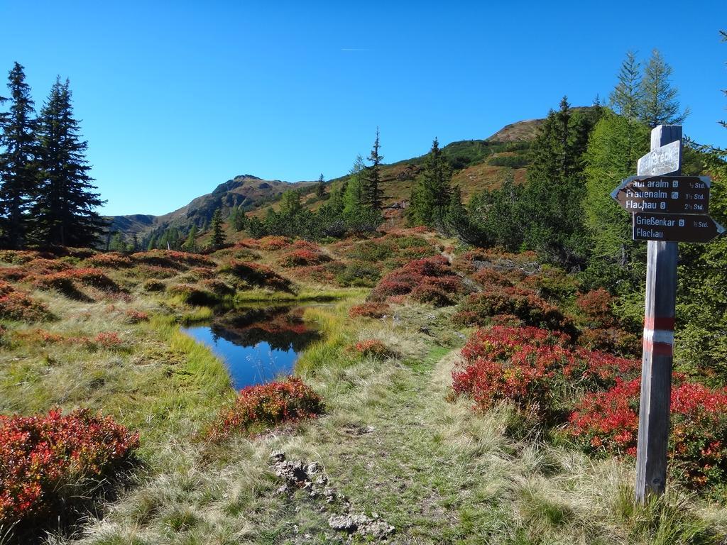 Ausserraingut Flachau Bagian luar foto