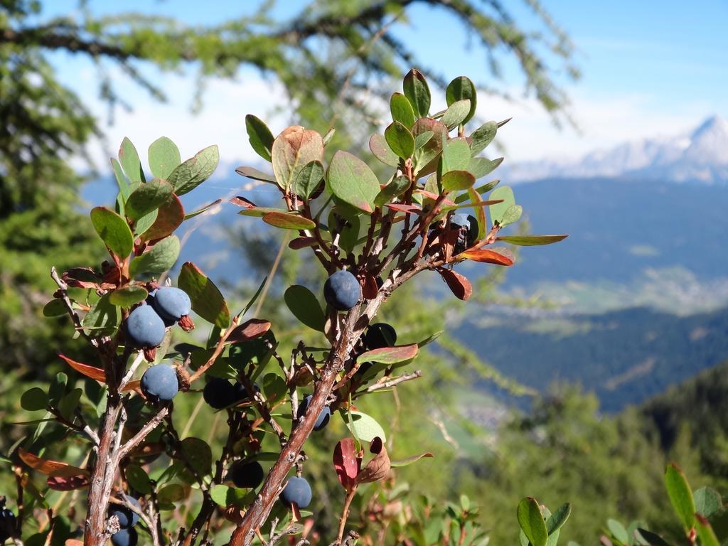 Ausserraingut Flachau Bagian luar foto