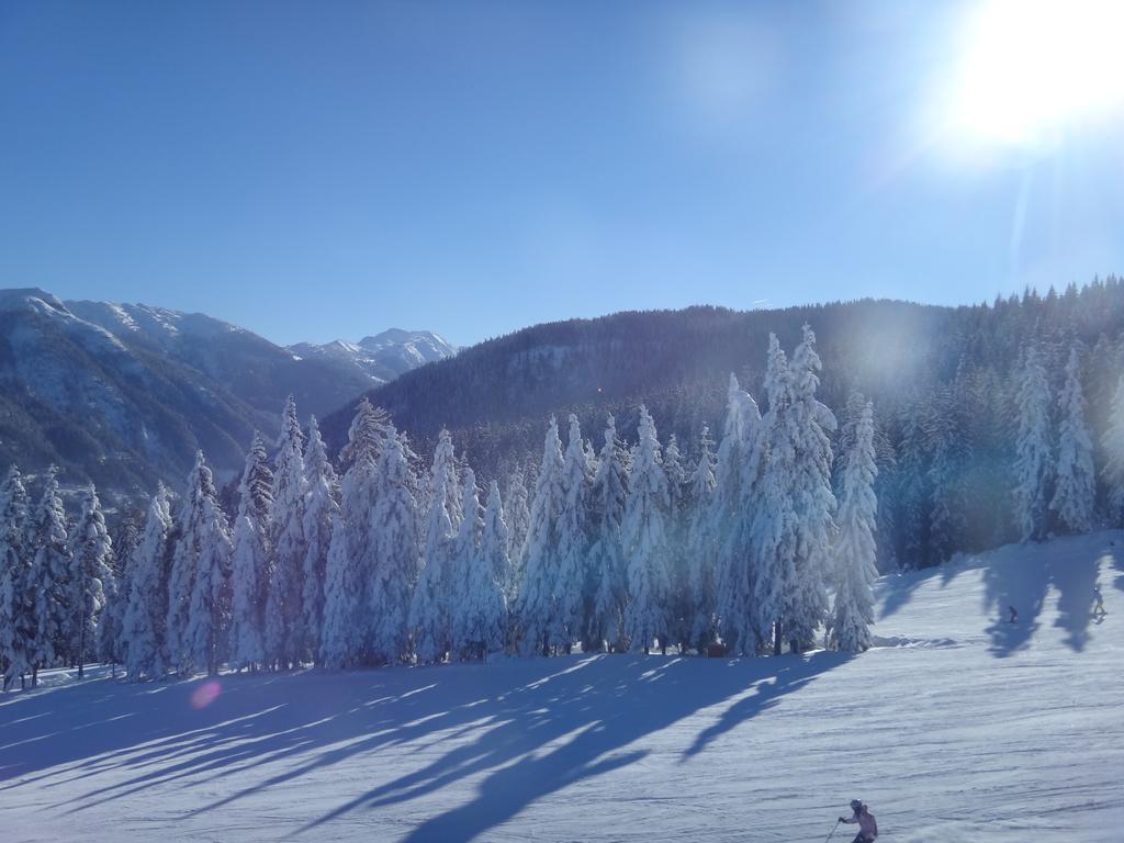 Ausserraingut Flachau Bagian luar foto